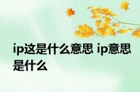 ip这是什么意思 ip意思是什么