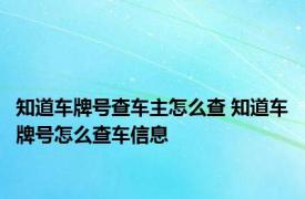 知道车牌号查车主怎么查 知道车牌号怎么查车信息