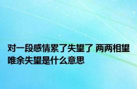 对一段感情累了失望了 两两相望唯余失望是什么意思