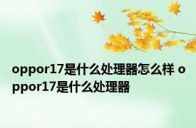 oppor17是什么处理器怎么样 oppor17是什么处理器