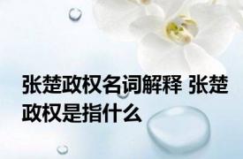 张楚政权名词解释 张楚政权是指什么