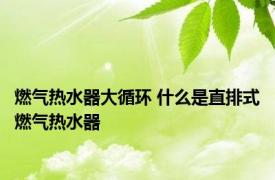 燃气热水器大循环 什么是直排式燃气热水器