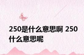 250是什么意思啊 250什么意思呢