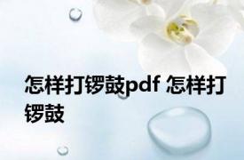 怎样打锣鼓pdf 怎样打锣鼓