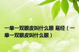 一单一双眼皮叫什么眼 易经（一单一双眼皮叫什么眼）