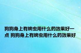 狗狗身上有蜱虫用什么药效果好一点 狗狗身上有蜱虫用什么药效果好