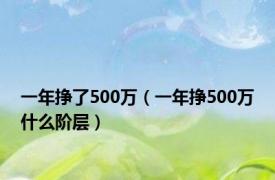 一年挣了500万（一年挣500万什么阶层）