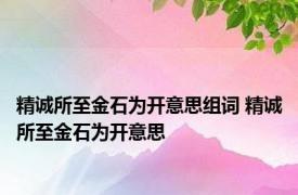 精诚所至金石为开意思组词 精诚所至金石为开意思