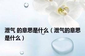 泄气 的意思是什么（泄气的意思是什么）