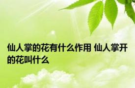 仙人掌的花有什么作用 仙人掌开的花叫什么