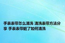 手表表带怎么清洗 清洗表带方法分享 手表表带脏了如何清洗