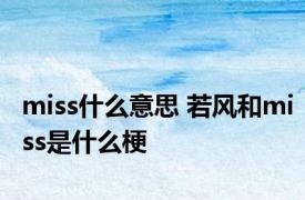 miss什么意思 若风和miss是什么梗