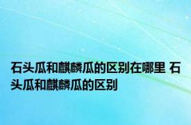 石头瓜和麒麟瓜的区别在哪里 石头瓜和麒麟瓜的区别