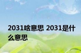 2031啥意思 2031是什么意思