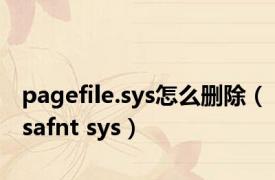 pagefile.sys怎么删除（safnt sys）