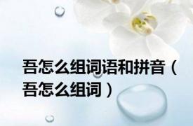 吾怎么组词语和拼音（吾怎么组词）