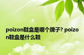 poizon鞋盒是哪个牌子? poizon鞋盒是什么鞋