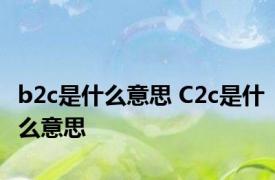 b2c是什么意思 C2c是什么意思