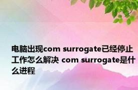 电脑出现com surrogate已经停止工作怎么解决 com surrogate是什么进程