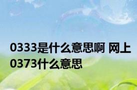 0333是什么意思啊 网上0373什么意思