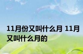 11月份又叫什么月 11月又叫什么月的