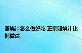 照烧汁怎么做好吃 正宗照烧汁比例做法