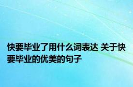 快要毕业了用什么词表达 关于快要毕业的优美的句子