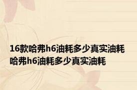 16款哈弗h6油耗多少真实油耗 哈弗h6油耗多少真实油耗