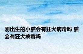 刚出生的小猫会有狂犬病毒吗 猫会有狂犬病毒吗