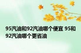 95汽油和92汽油哪个便宜 95和92汽油哪个更省油