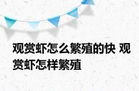 观赏虾怎么繁殖的快 观赏虾怎样繁殖