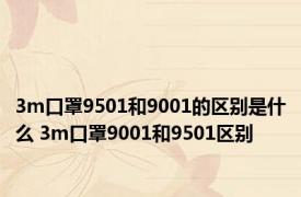 3m口罩9501和9001的区别是什么 3m口罩9001和9501区别