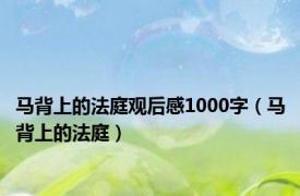 马背上的法庭观后感1000字（马背上的法庭）