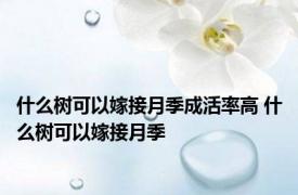 什么树可以嫁接月季成活率高 什么树可以嫁接月季