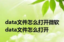 data文件怎么打开微软 data文件怎么打开