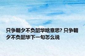 只争朝夕不负韶华啥意思? 只争朝夕不负韶华下一句怎么说