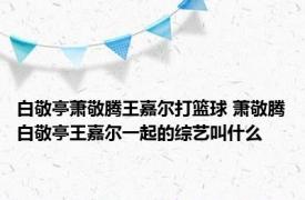 白敬亭萧敬腾王嘉尔打篮球 萧敬腾白敬亭王嘉尔一起的综艺叫什么