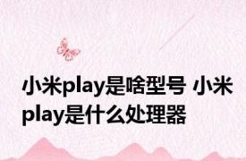 小米play是啥型号 小米play是什么处理器