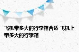 飞机带多大的行李箱合适 飞机上带多大的行李箱