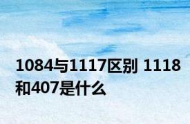 1084与1117区别 1118和407是什么