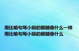 用比喻句写小猫的眼睛像什么一样 用比喻句写小猫的眼睛像什么