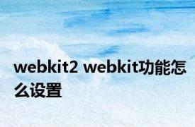 webkit2 webkit功能怎么设置