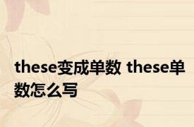 these变成单数 these单数怎么写