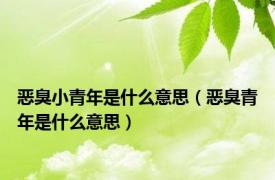 恶臭小青年是什么意思（恶臭青年是什么意思）