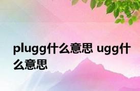 plugg什么意思 ugg什么意思