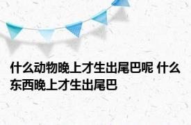 什么动物晚上才生出尾巴呢 什么东西晚上才生出尾巴