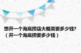 想开一个海底捞店大概需要多少钱?（开一个海底捞要多少钱）