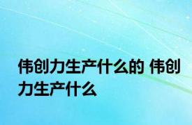 伟创力生产什么的 伟创力生产什么