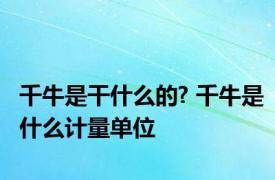 千牛是干什么的? 千牛是什么计量单位