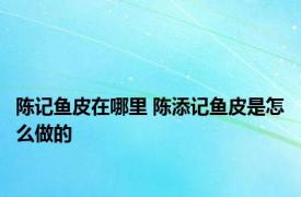 陈记鱼皮在哪里 陈添记鱼皮是怎么做的